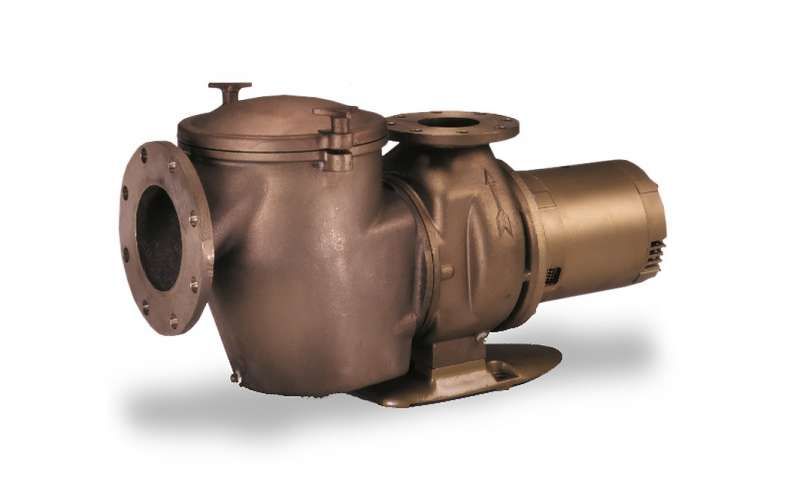 C Series® Commercial Bronze Pumps